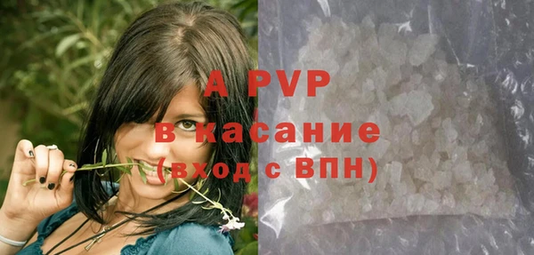 стафф Алексин